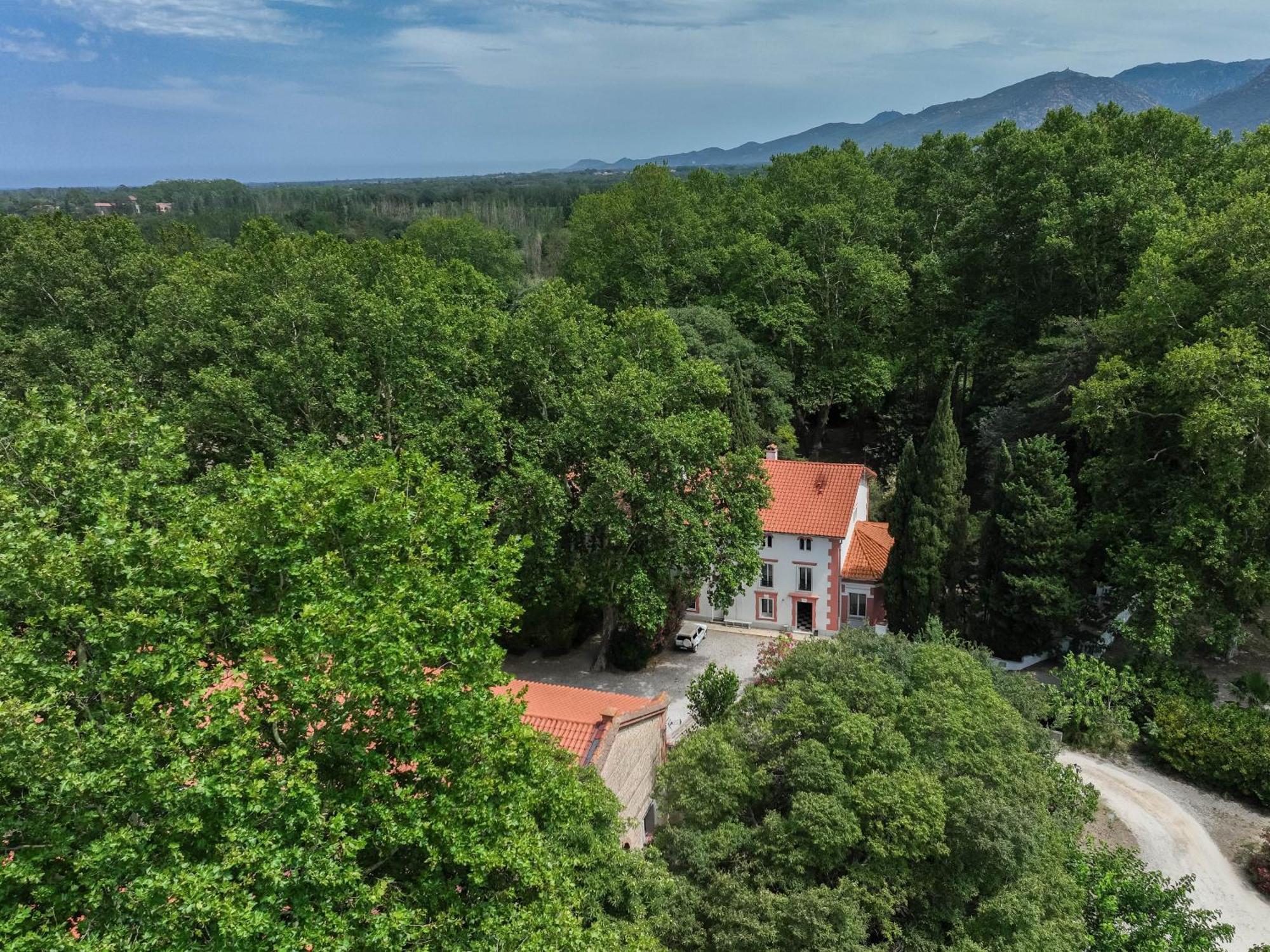 Gites Du Castell De Bles Saint-Génis Exteriér fotografie